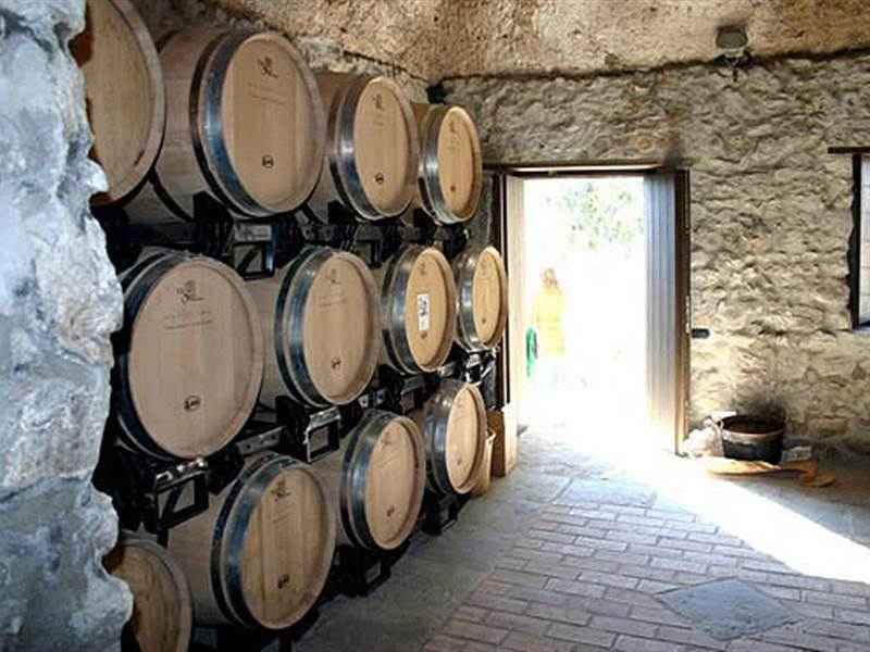 amalfi coast winery tours