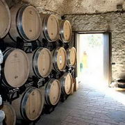 Amalfi Coast Wine Tours