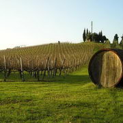 Chianti Shore Excursions