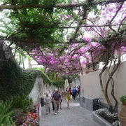 Positano, Amalfi Coast - Italy